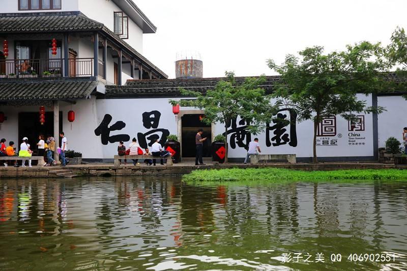 植物大战僵尸18